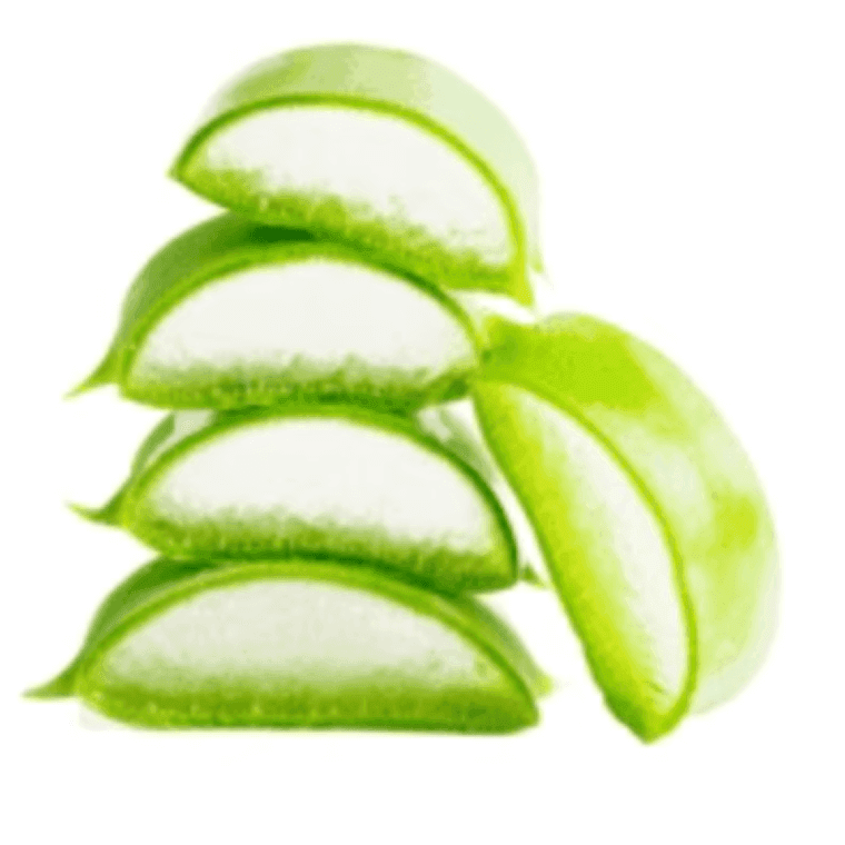 Aloe vera